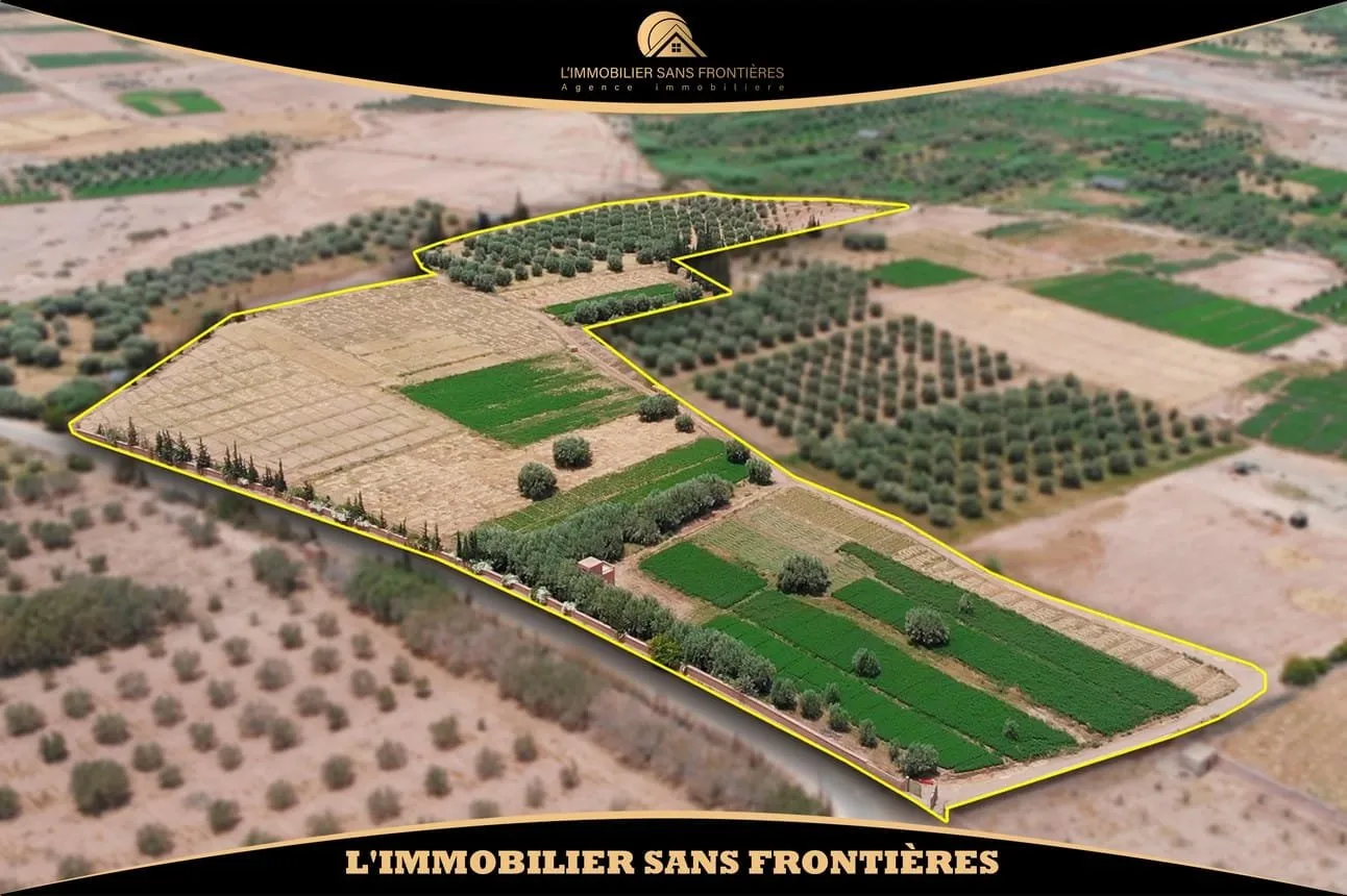 Ferme à vendre — 4 Hectare – Souihla, Marrakech - مراكش