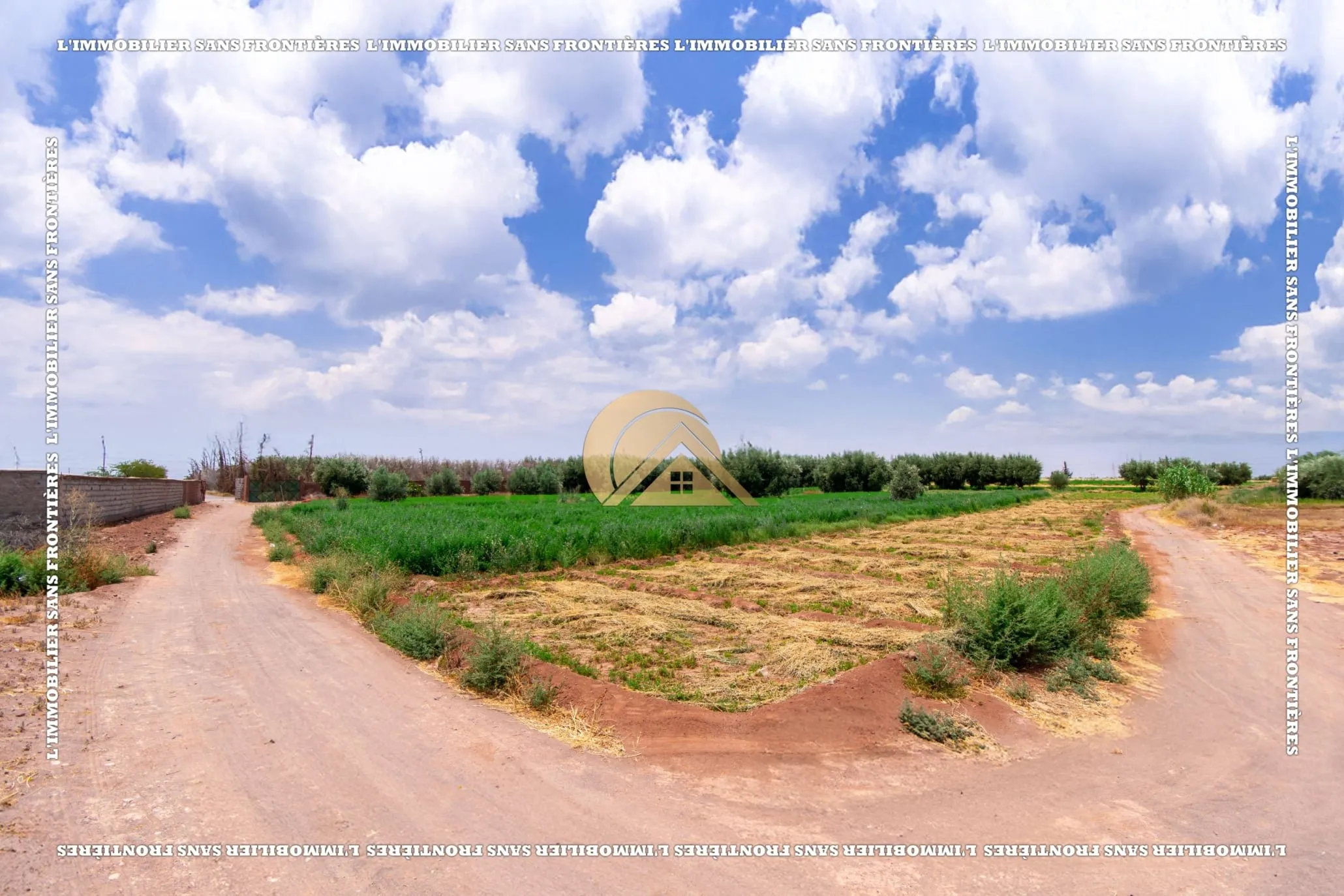 Ferme à vendre — 4 Hectare – Souihla, Marrakech - مراكش (2)
