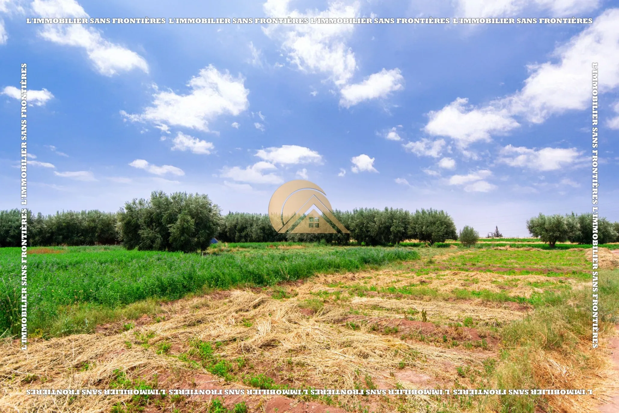 Ferme à vendre — 4 Hectare – Souihla, Marrakech - مراكش (3)