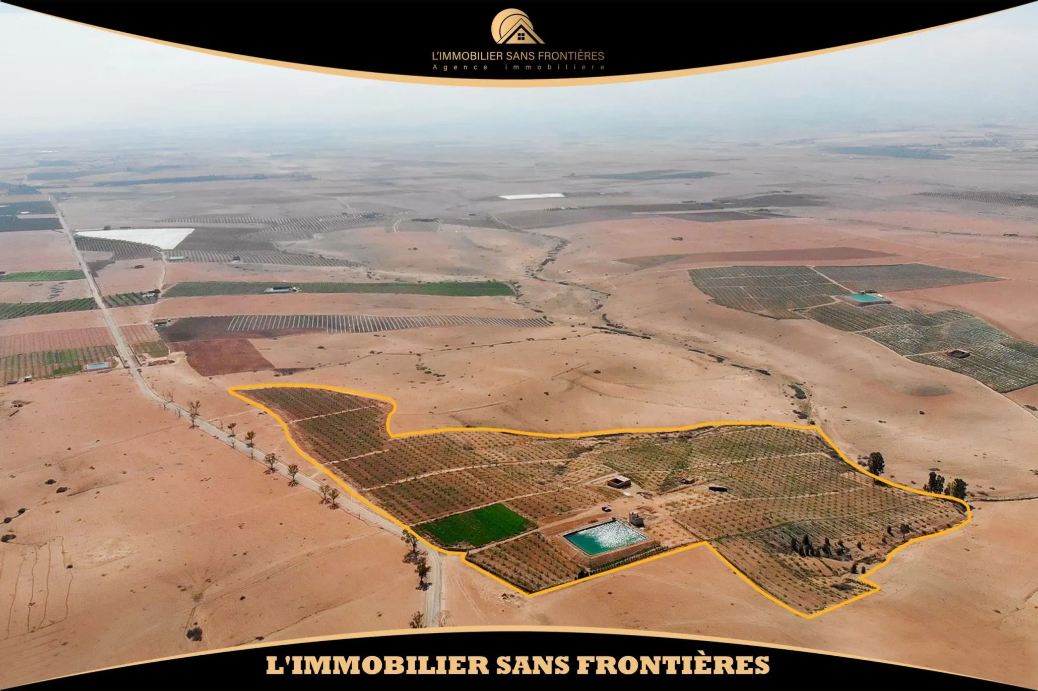 Ferme à Route Amizmiz km 54, 3 000 oliviers + 2 puits, Marrakech : à vendre - مراكش