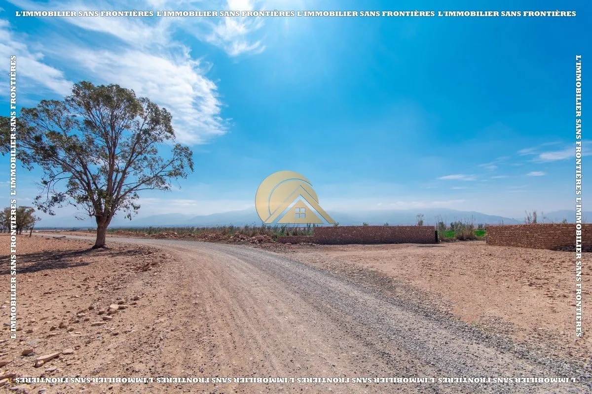 Ferme à Route Amizmiz km 54, 3 000 oliviers + 2 puits, Marrakech : à vendre - مراكش (2)