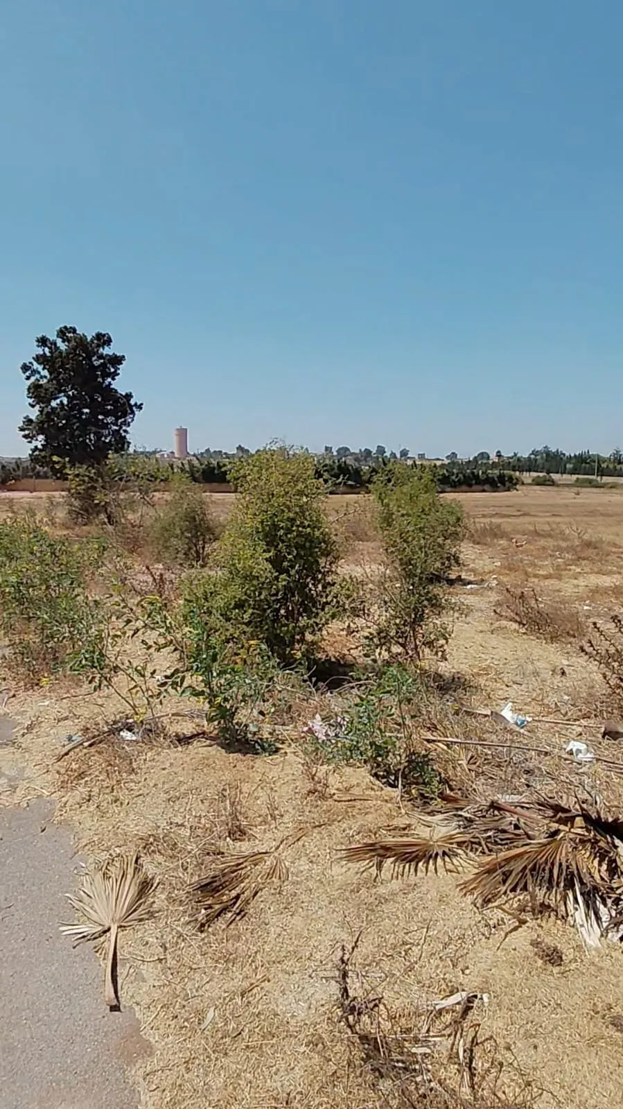 TERRAIN POUR VILLA PRESTIGE - الدار البيضاء (3)