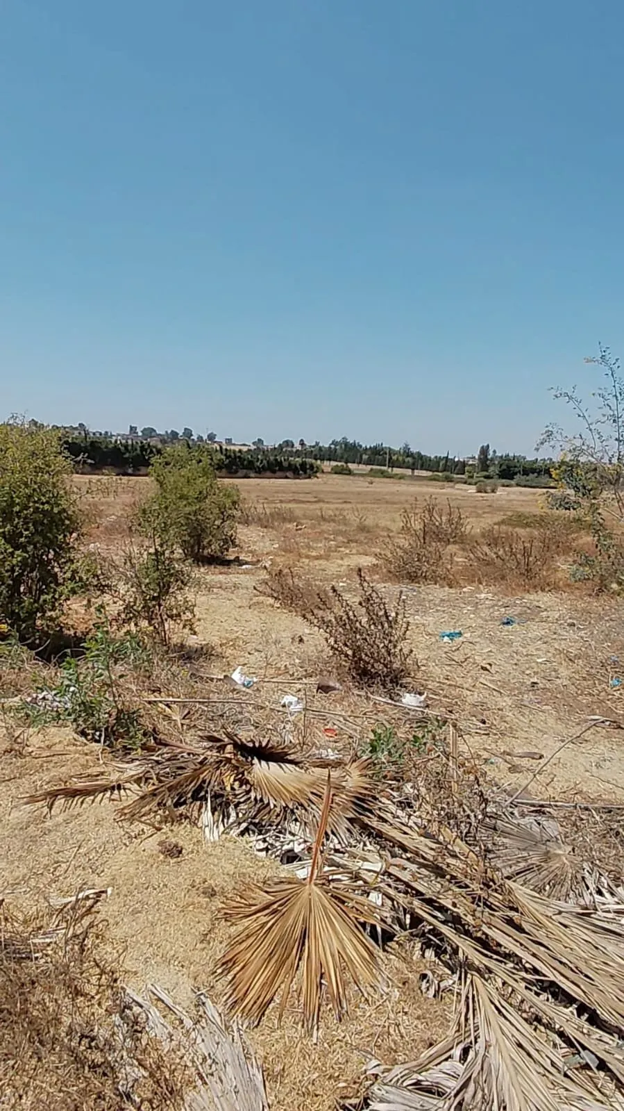 TERRAIN POUR VILLA PRESTIGE - الدار البيضاء (2)