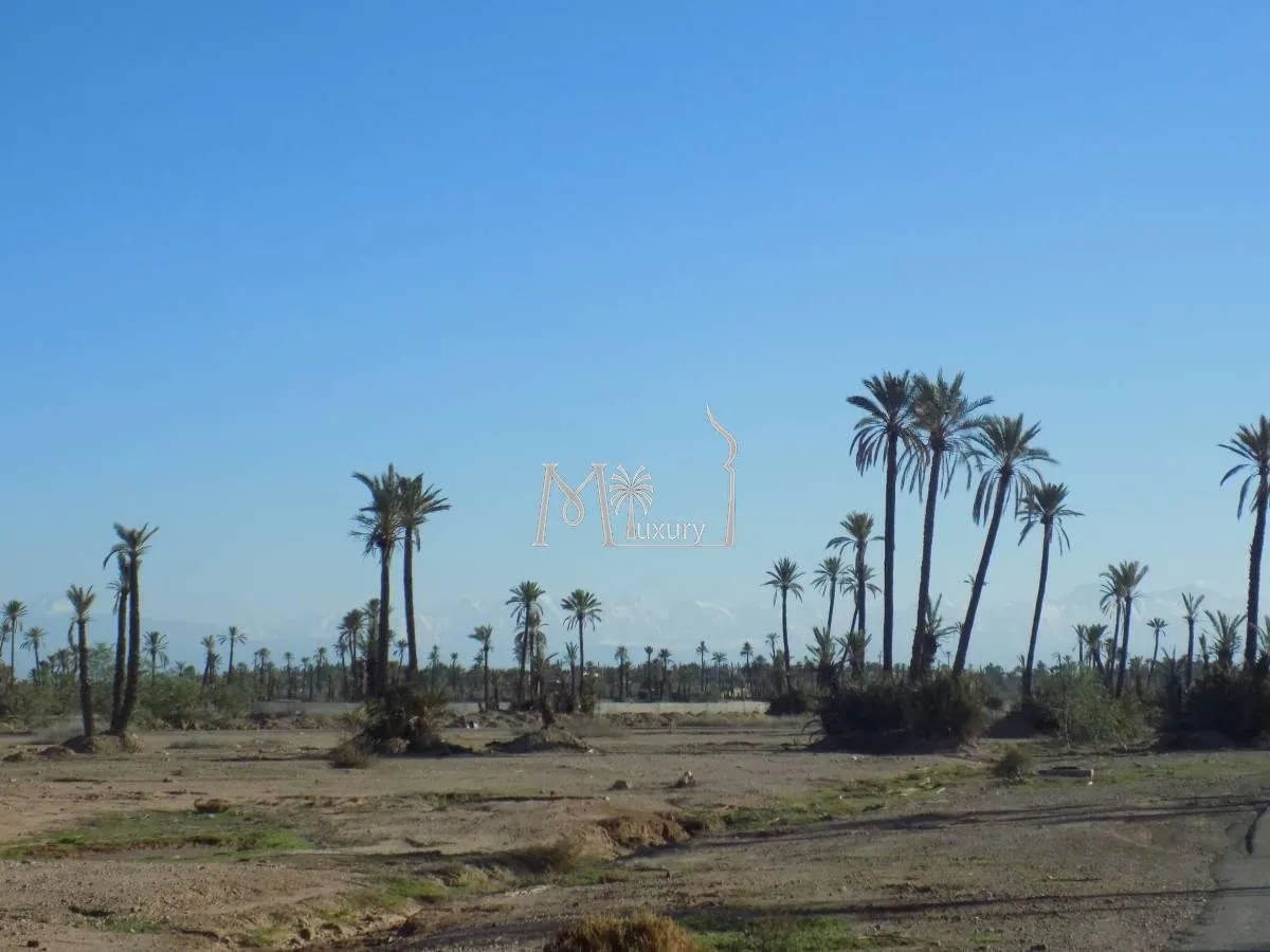 Land for sale Palmeraie - مراكش