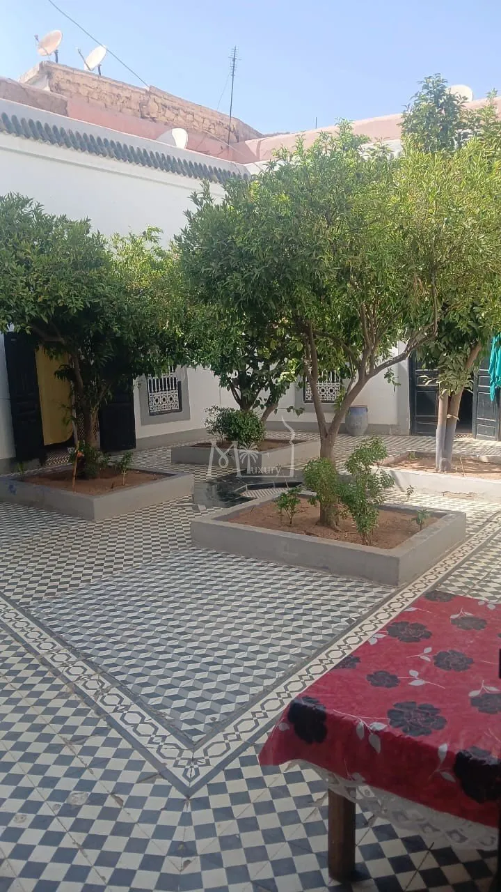 Riad for sale Bab Doukkala - مراكش