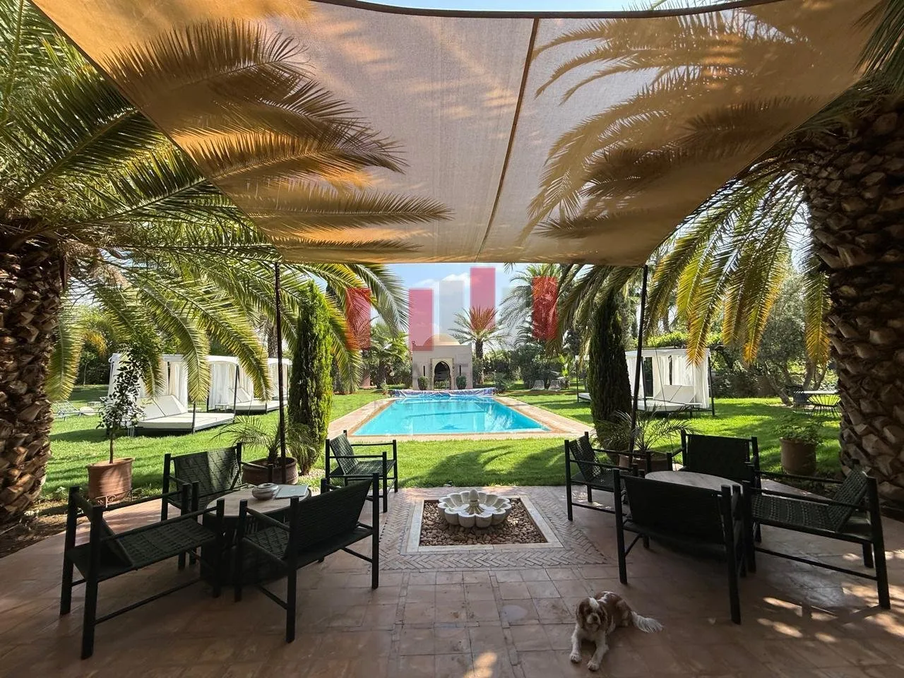 VOYAGE A MARRAKECH - مراكش (2)