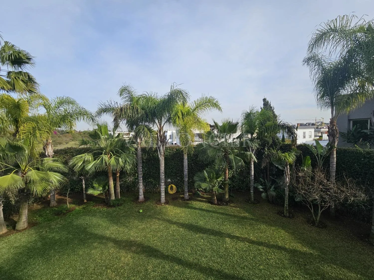 Vente Villa 1140m2 avec piscine Californie, Casablanca - الدار البيضاء (3)