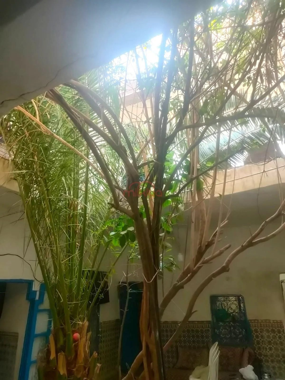 Vente Villa à Marrakech - مراكش (3)