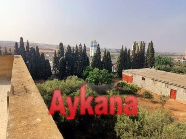 Vente Ferme En Exclusivité à tamesna - تمارة (2)