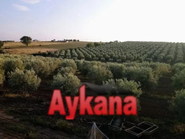 Vente Ferme en Exclusivité à Tiflet - benimellal