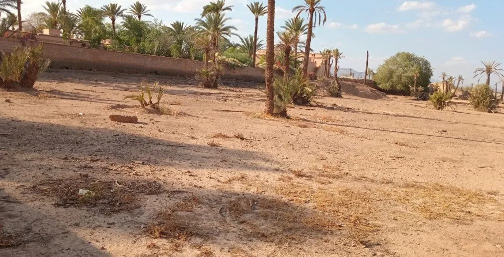 Terrain titré à la Palmeraie–1 Ha 200 - مراكش