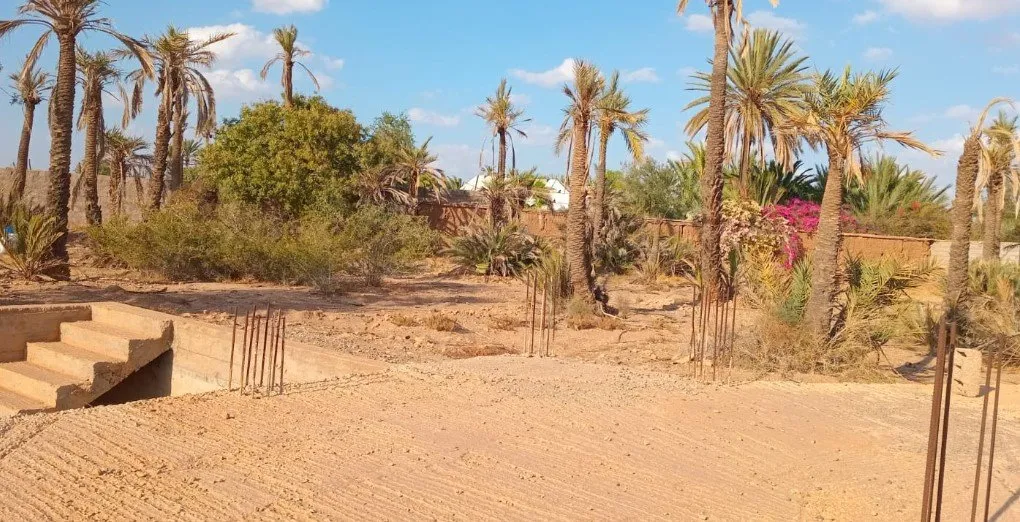 Terrain titré à la Palmeraie–1 Ha 200 - مراكش (4)