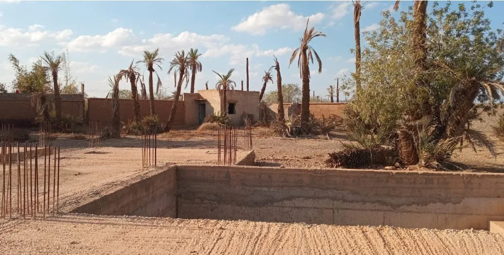 Terrain titré à la Palmeraie–1 Ha 200 - مراكش (2)