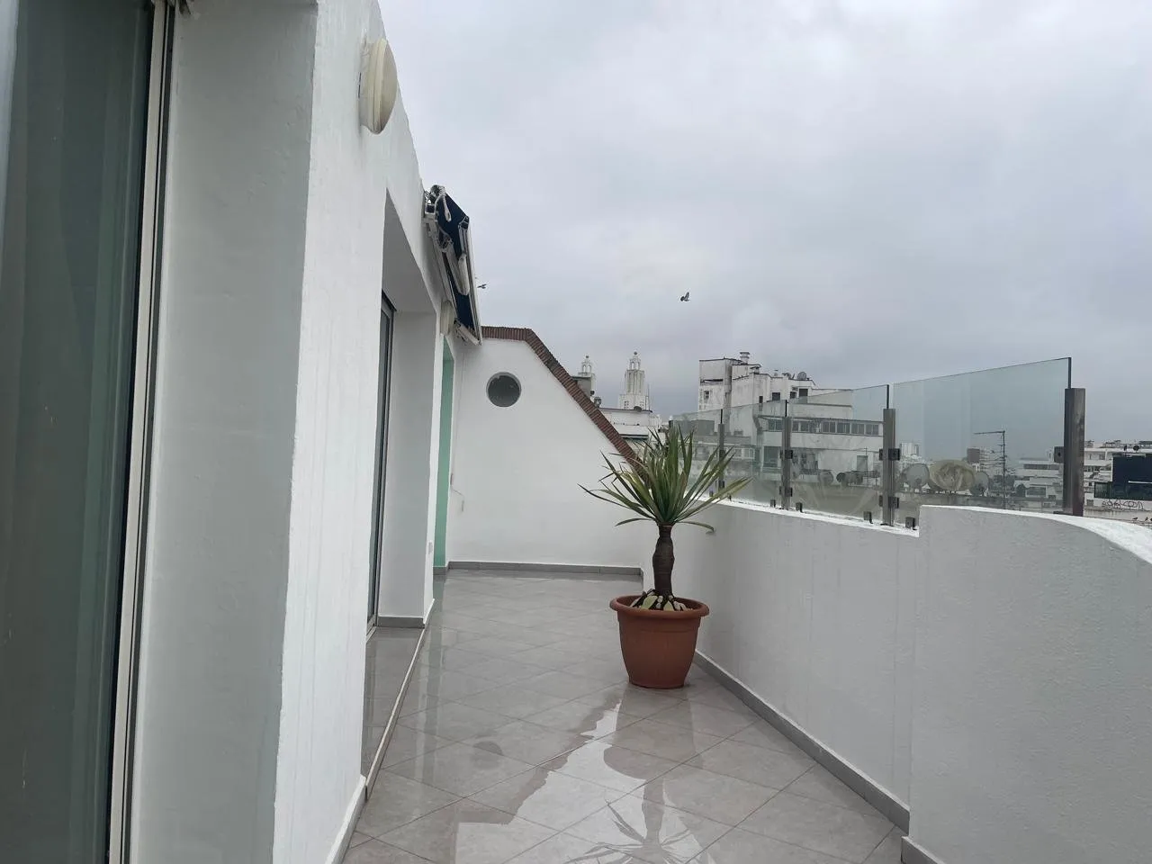 DERNIER ETAGE TERASSE SOLEIL PROCHE CATEDRALE ET PARC DE LA LIGUE ARABE - الدار البيضاء (3)