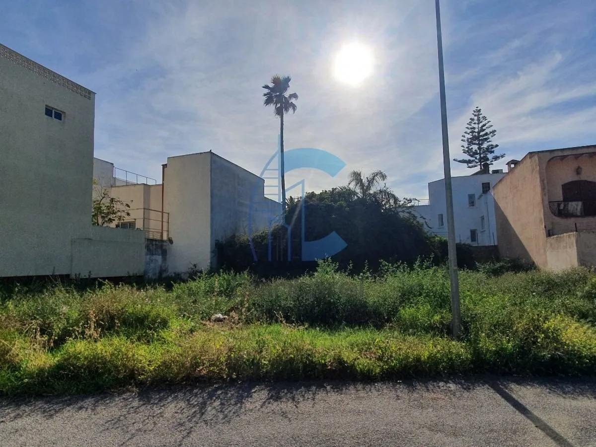 Terrain à vendre - المحمدية