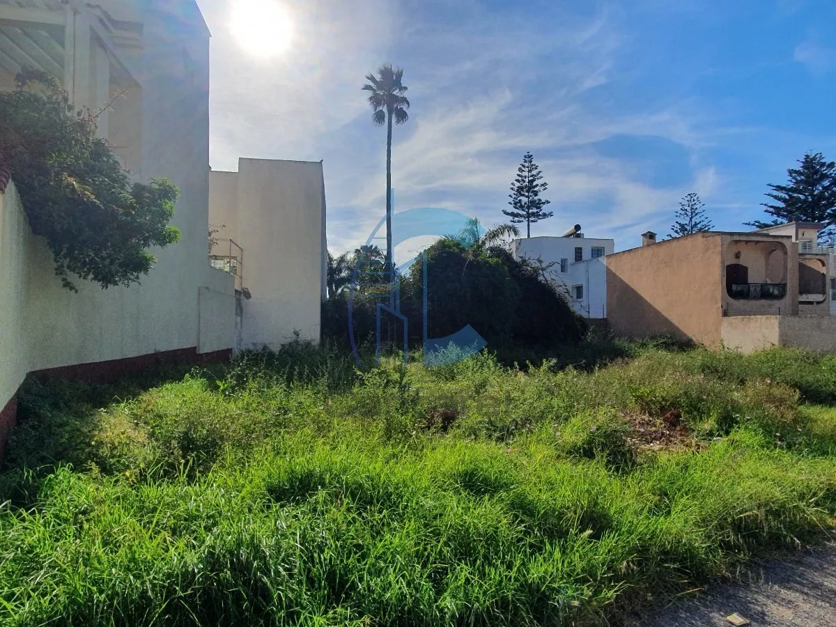 Terrain à vendre - المحمدية (2)