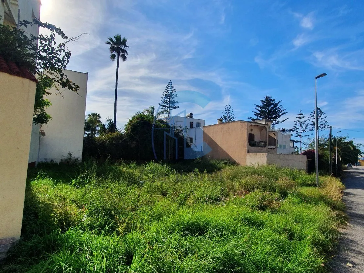Terrain à vendre - المحمدية (3)