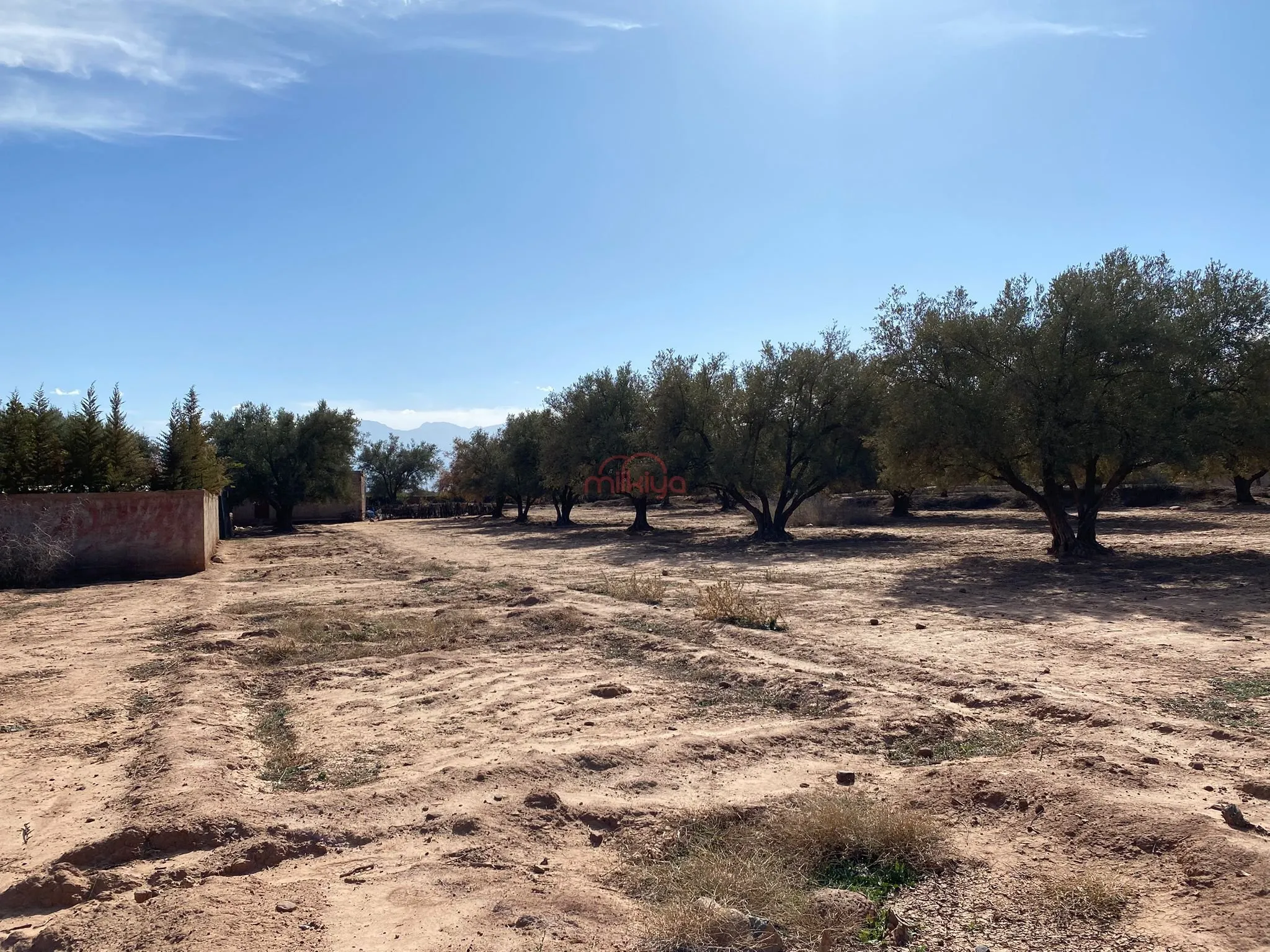 Vente Terrain nu à Marrakech - مراكش