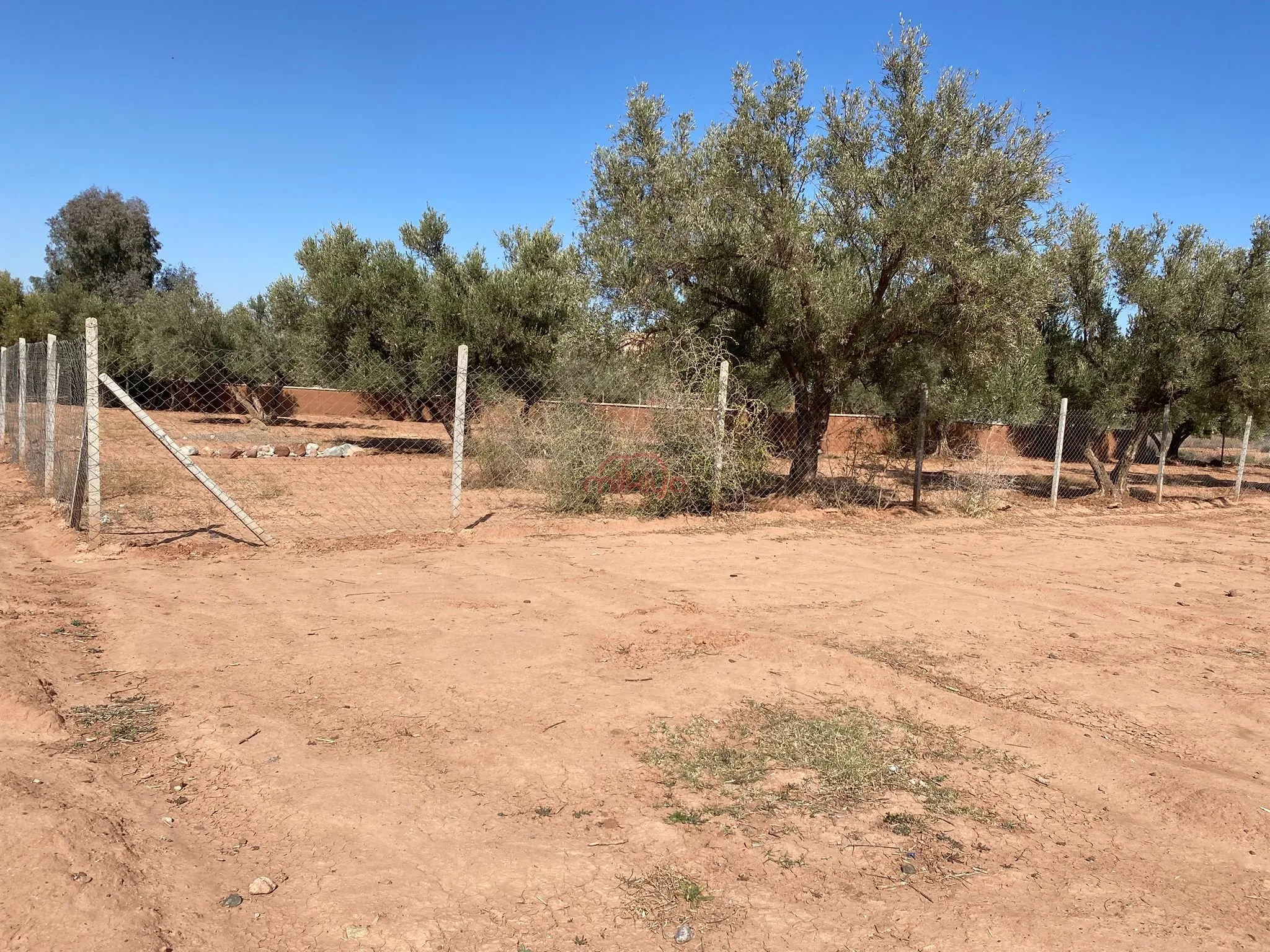 Vente Terrain nu à Marrakech - مراكش (2)
