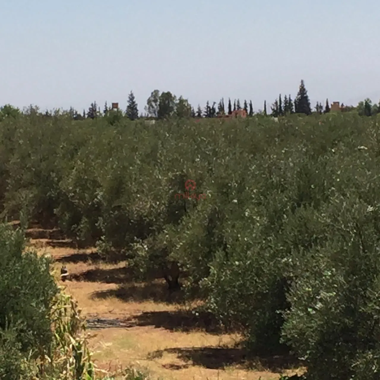 Vente Maison à Marrakech - مراكش (2)