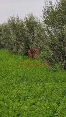 Vente Maison à Marrakech - مراكش (3)