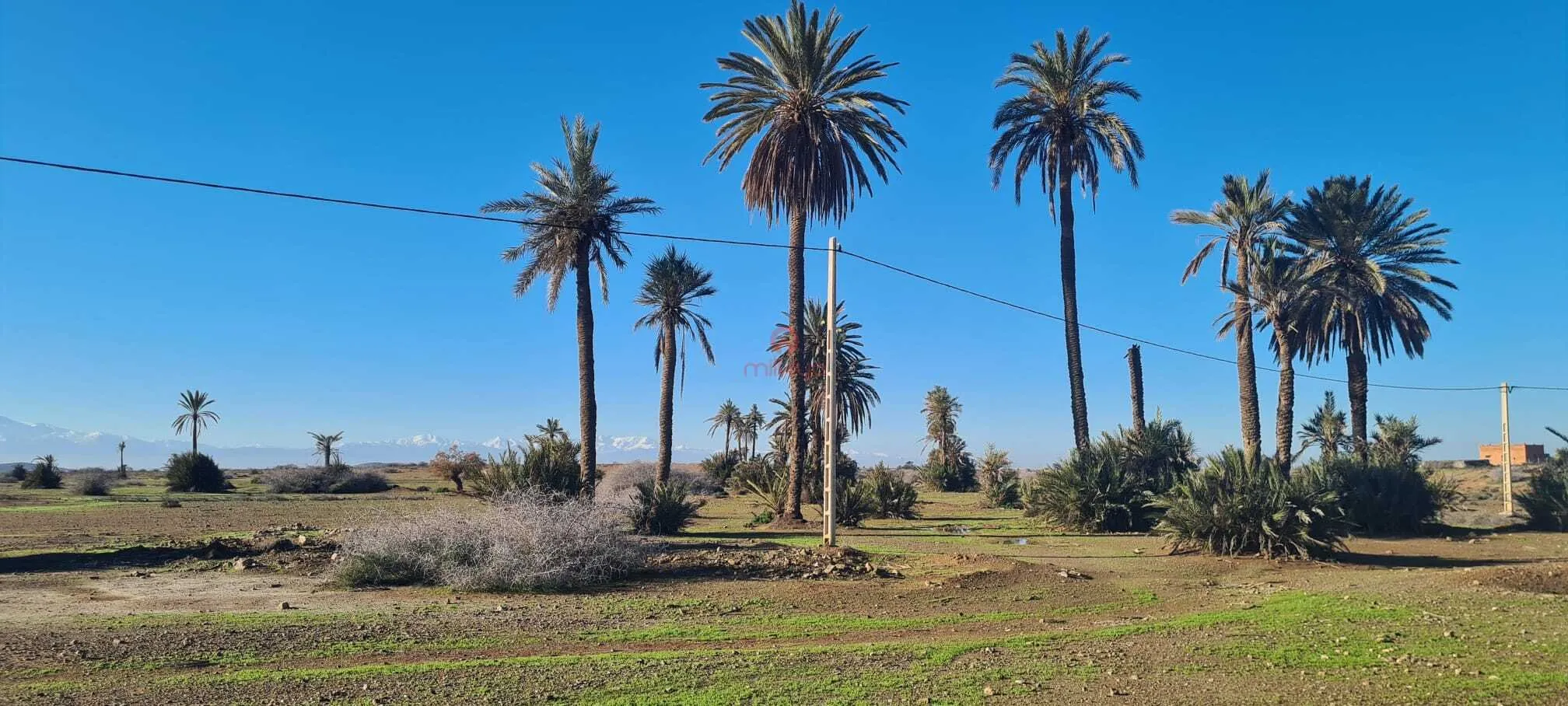 Vente Terrain nu à Marrakech - مراكش