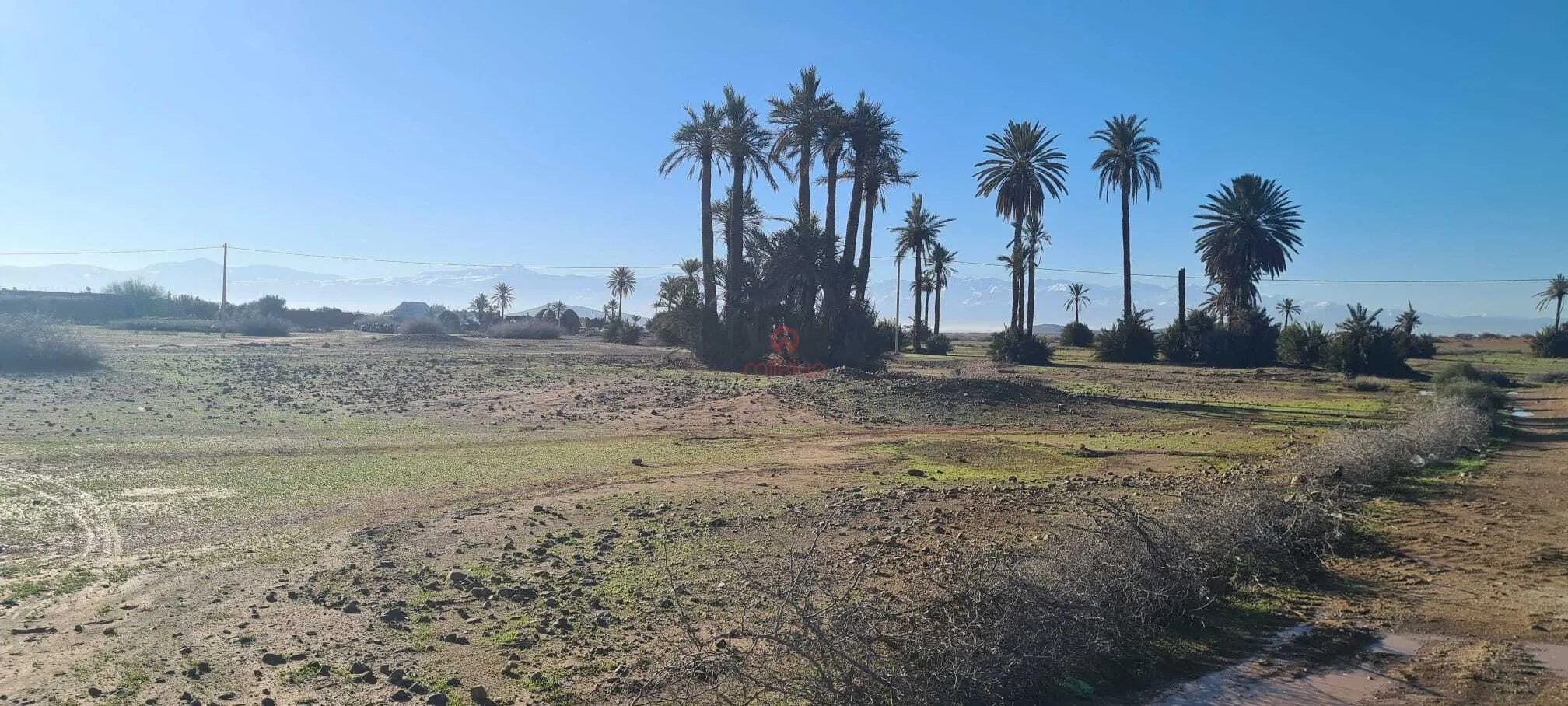 Vente Terrain nu à Marrakech - مراكش (3)