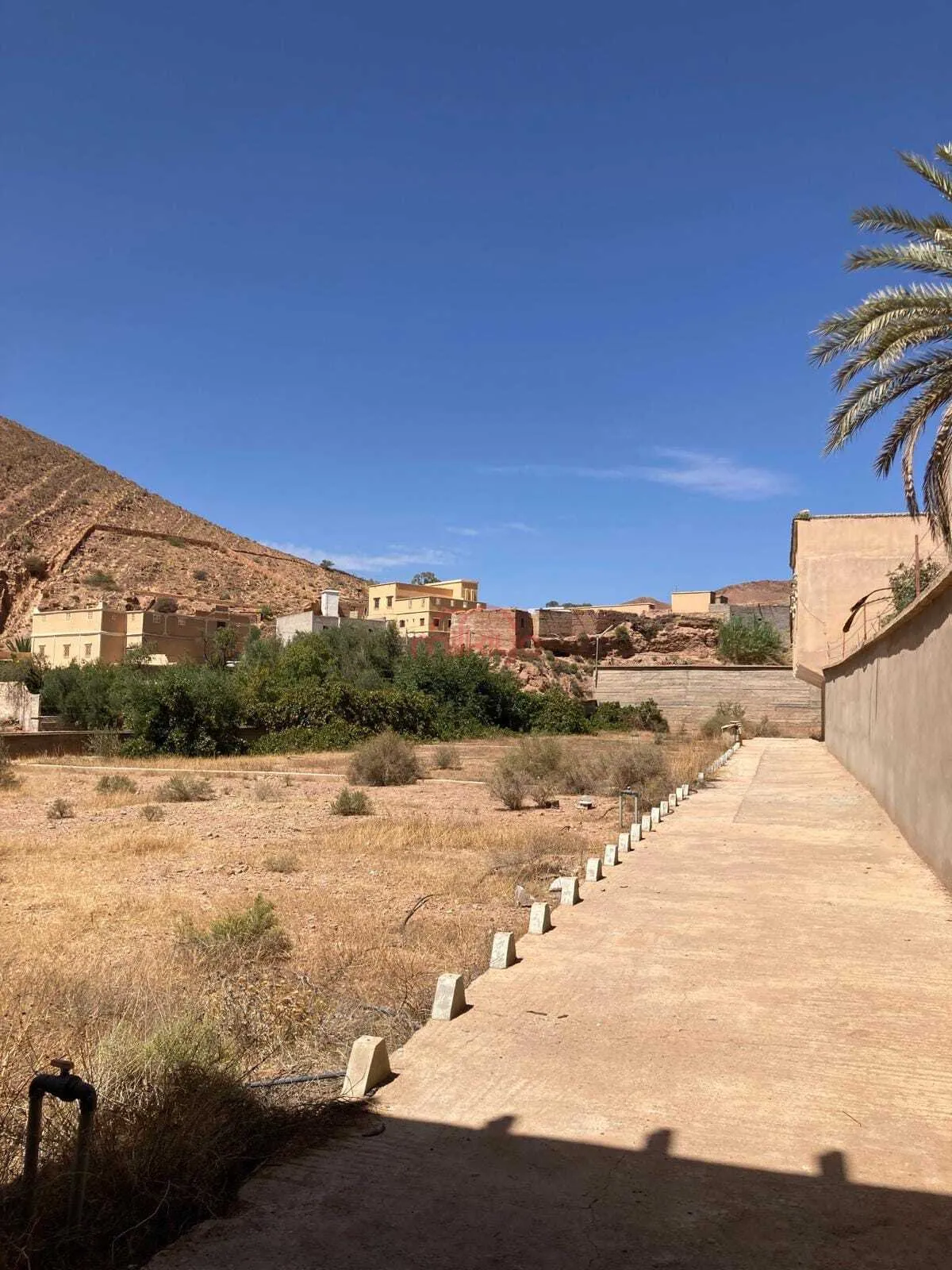 Vente Ferme à Taroudant - تارودانت