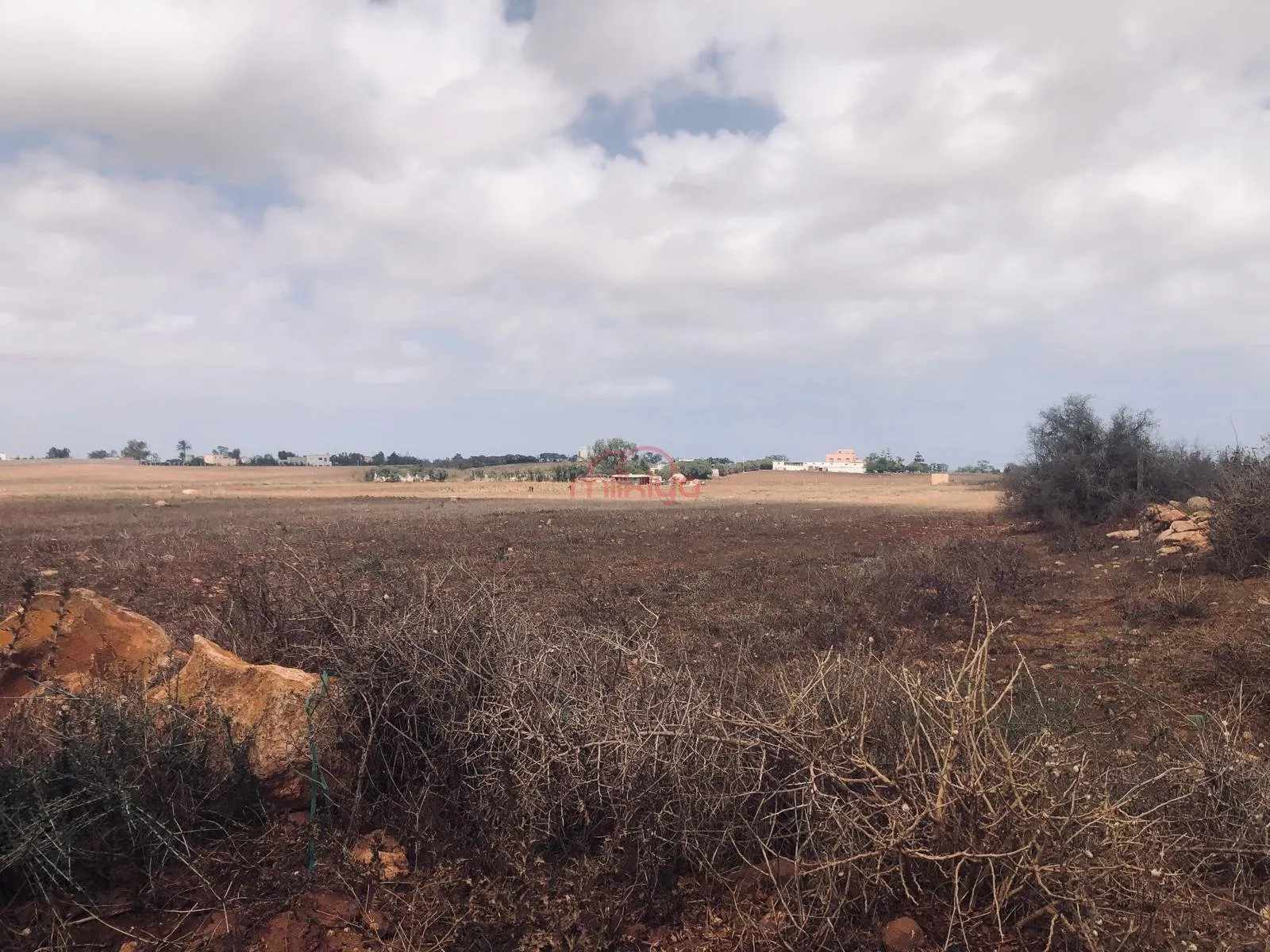 Vente Terrain agricole à Had Soualem - حد السوالم