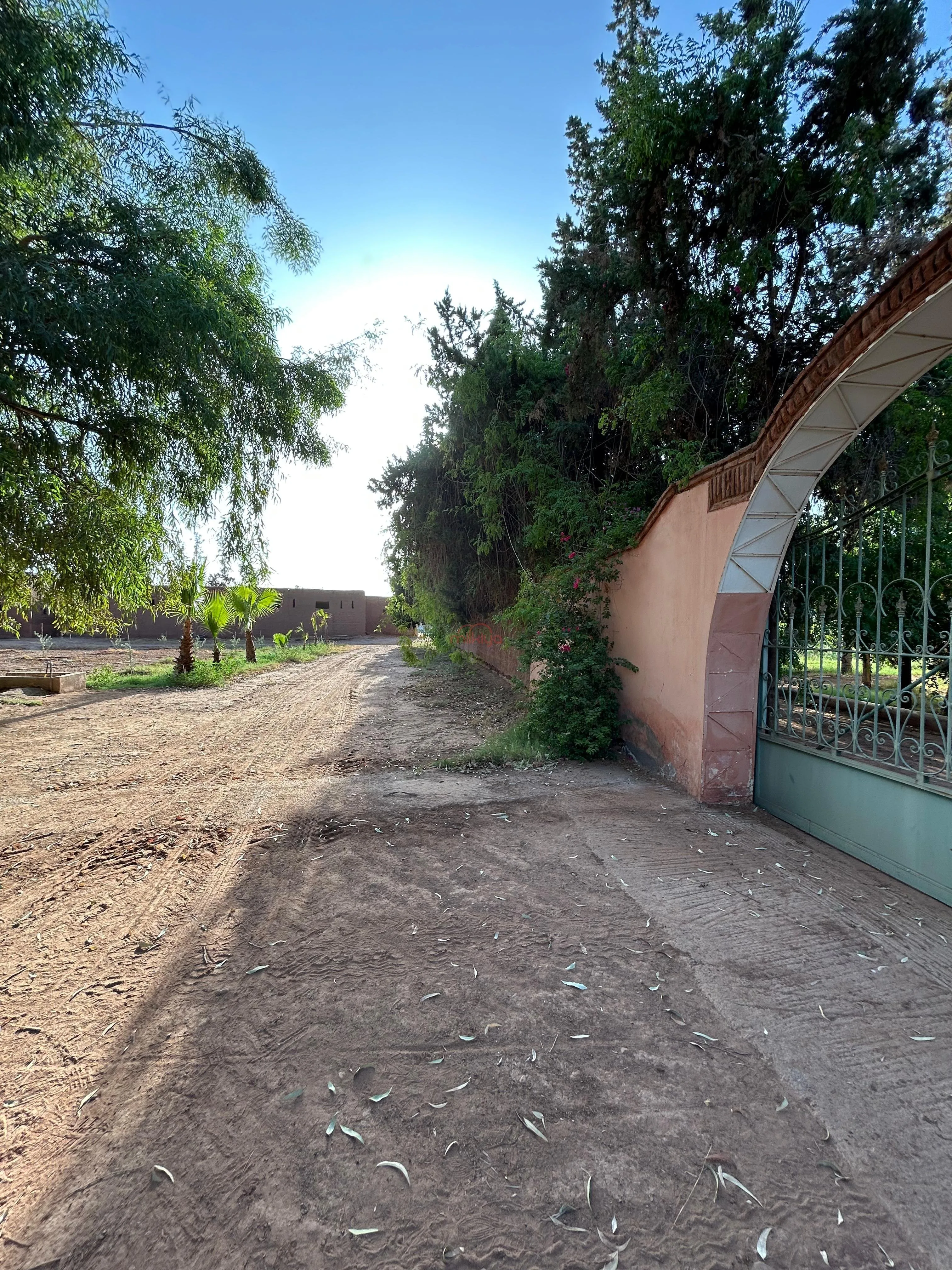 Vente Terrain agricole à Marrakech - مراكش (3)