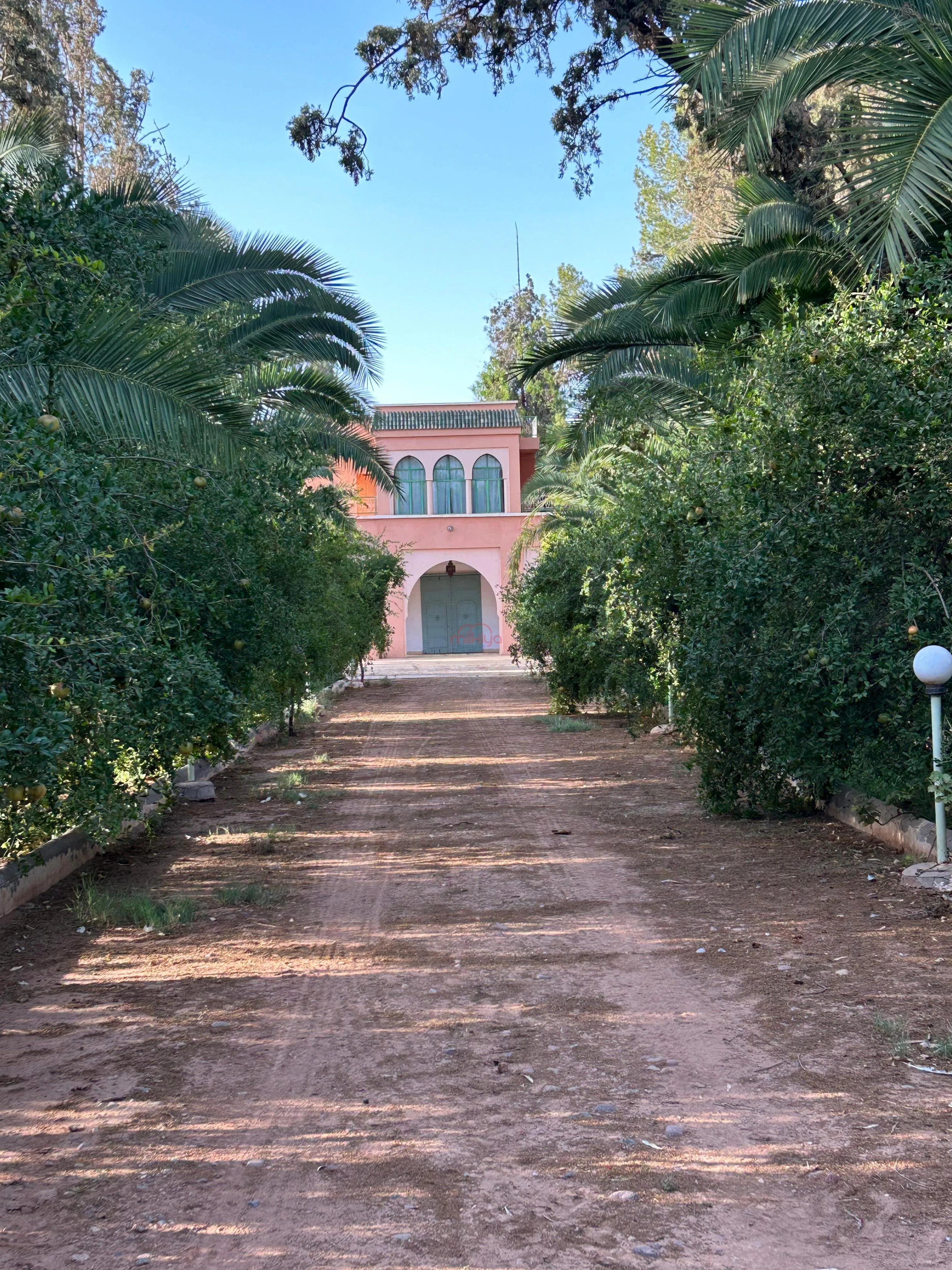 Vente Terrain agricole à Marrakech - مراكش (4)