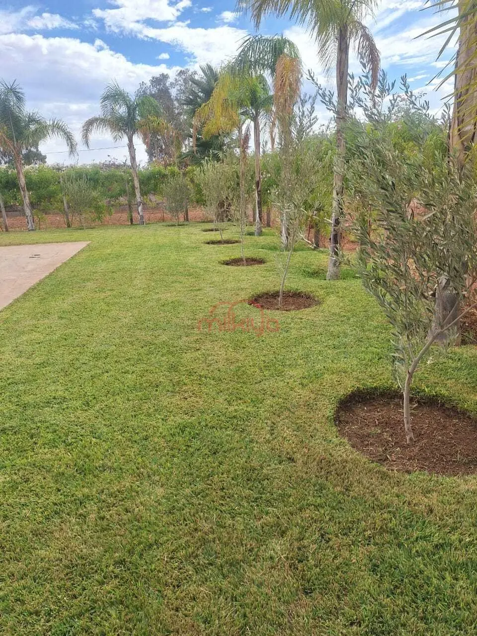 Vente Ferme à Marrakech - مراكش (3)
