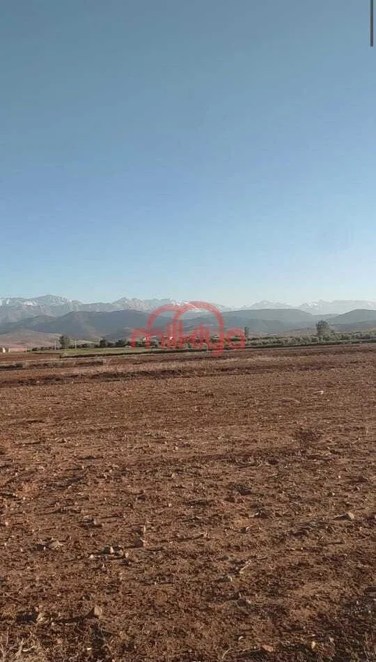Vente Terrain nu à Marrakech - مراكش