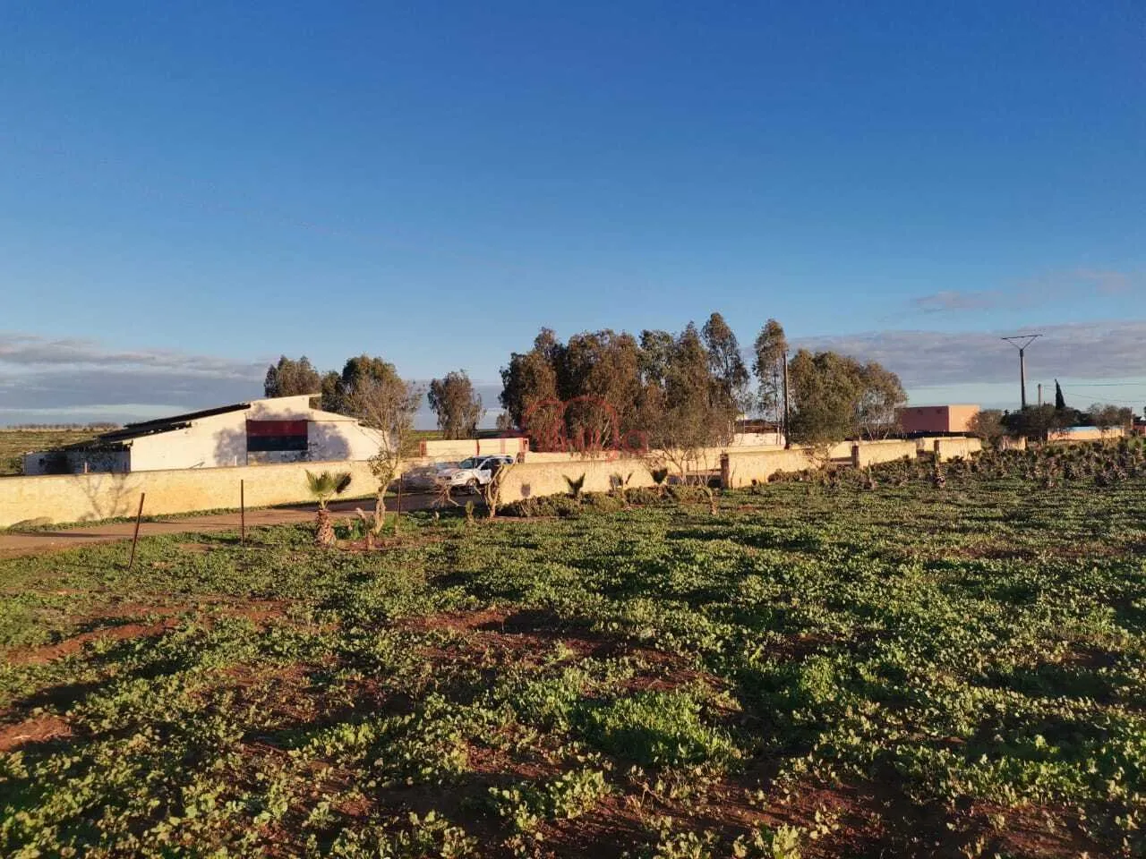 Vente Ferme à Tit Mellil - الدار البيضاء (2)