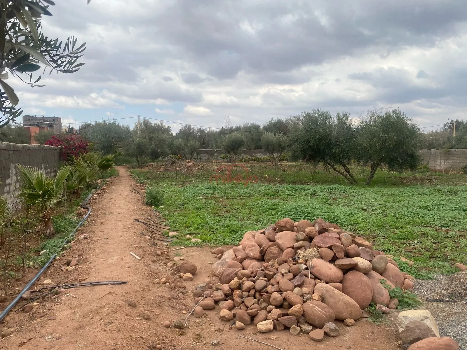 Vente Terrain agricole à Marrakech - مراكش (2)