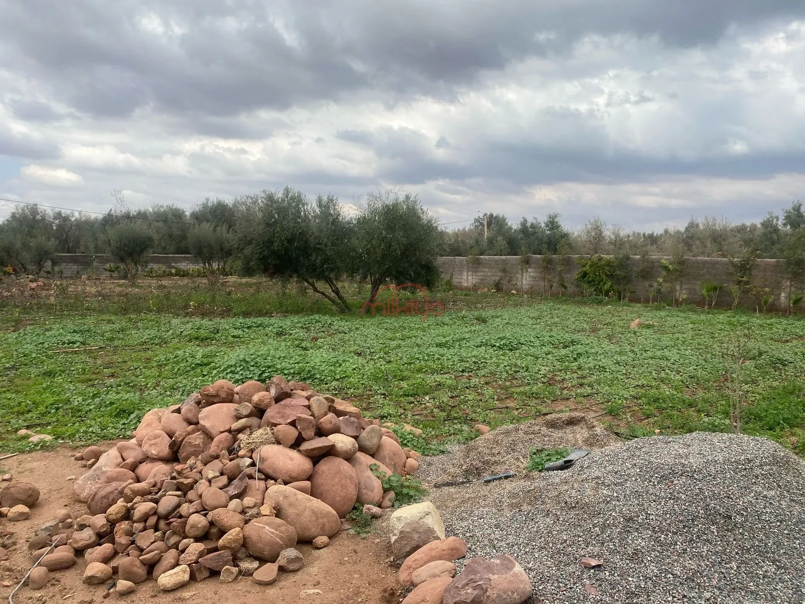 Vente Terrain agricole à Marrakech - مراكش
