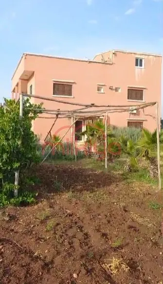 Vente Ferme à Settat - سطات (3)