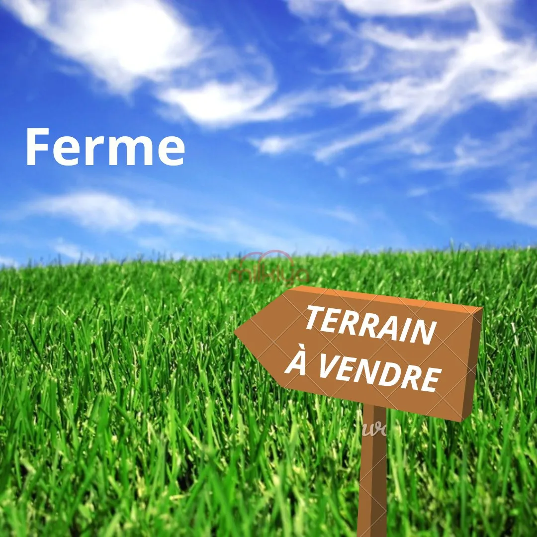Vente Ferme à Settat - سطات