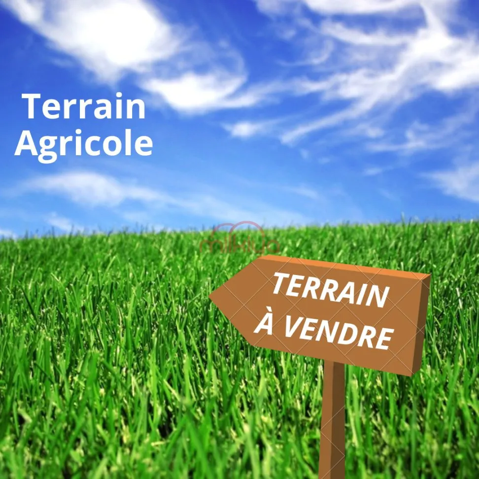 Vente Terrain agricole à Marrakech - مراكش