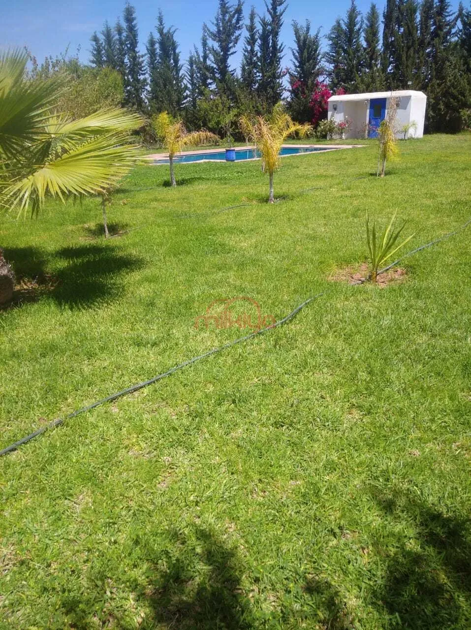 Vente Ferme à Marrakech - مراكش (3)