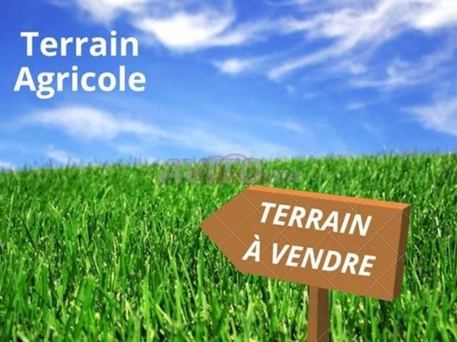 Terrain Agricole Titré à Vendre - شيشاوة