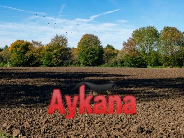 Terrain en Exclusivité à vendre à Témara Harhoura - تمارة
