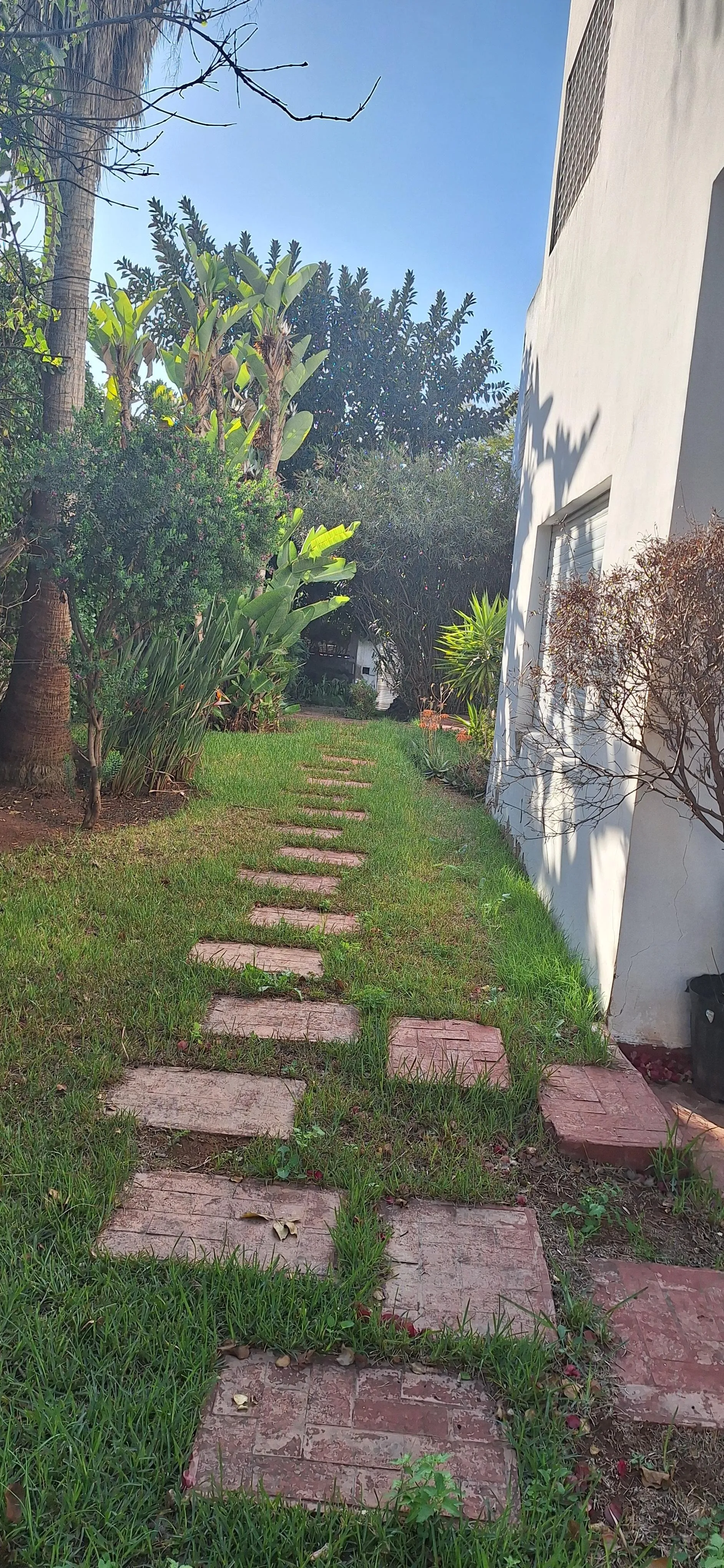 TERRAIN AVENDRE QUARTIER LES PRINCESSES - الدار البيضاء (3)