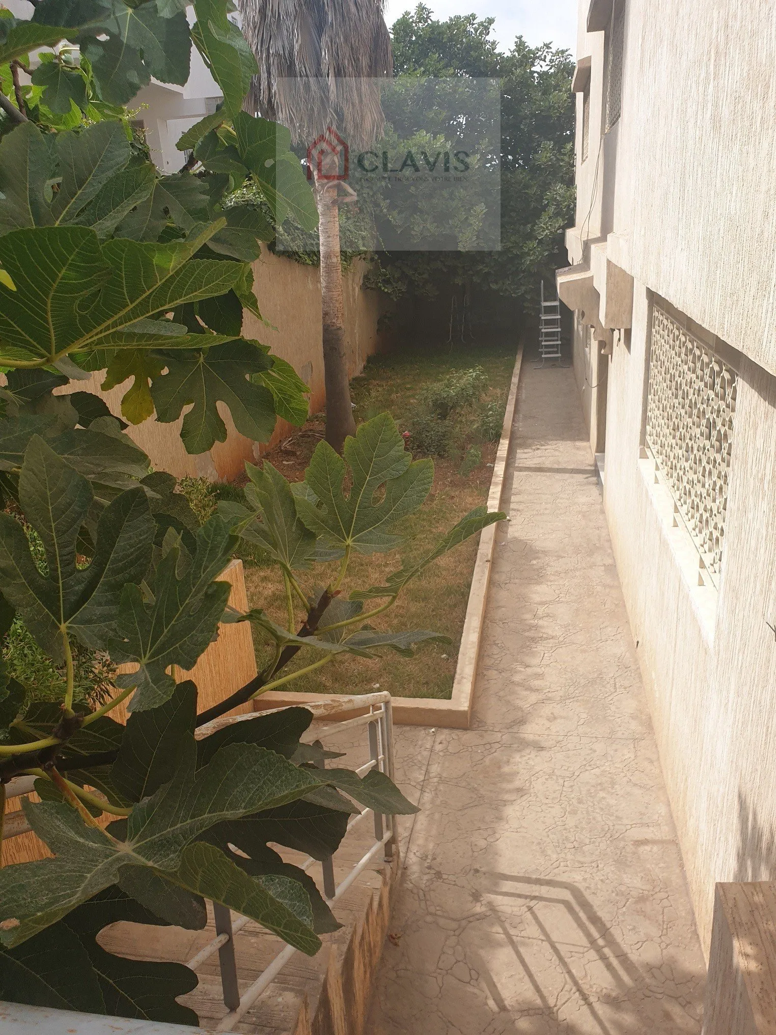 Villa avec 4 appartements independants  multi-usage - الدار البيضاء (3)