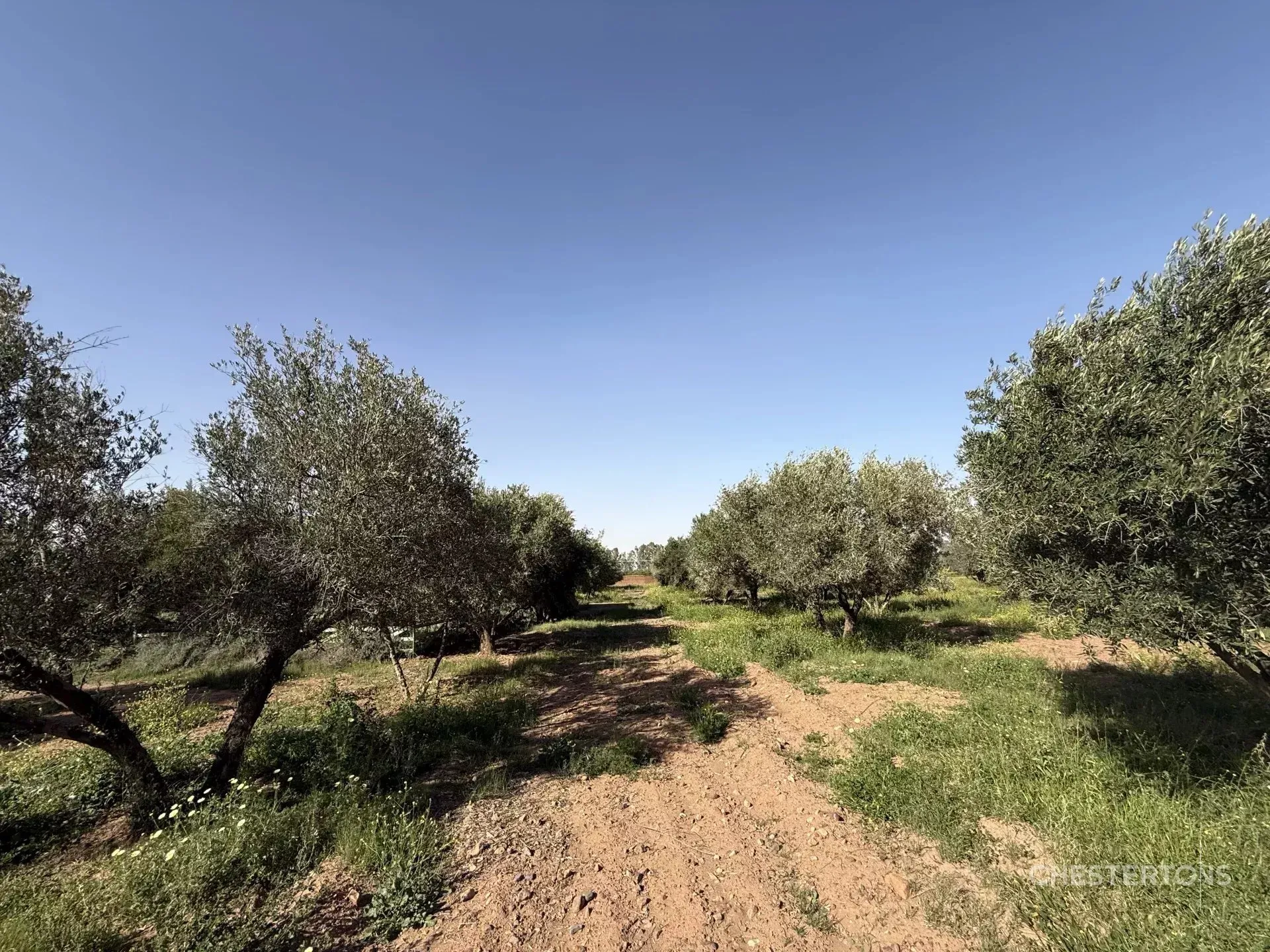 Domaine Olivier d'Exception à Marrakech, Route de l'Ourika - مراكش (2)
