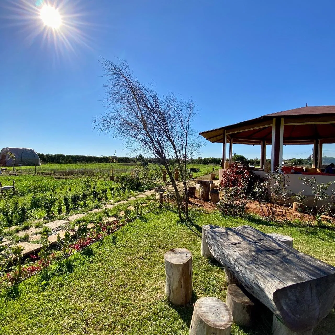 Ferme équipée à vendre ( Bouznika) - بوزنيقة (2)