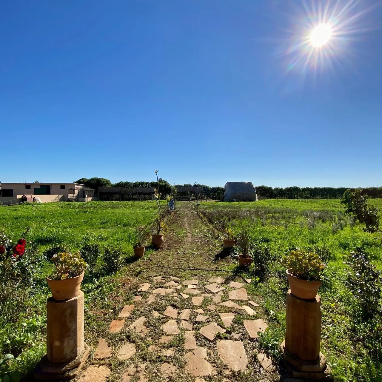 Ferme équipée à vendre ( Bouznika) - بوزنيقة