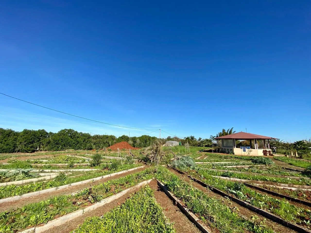 Ferme équipée à vendre ( Bouznika) - بوزنيقة (3)