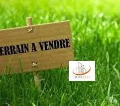 Benslimane , terrain à vendre, construction de villa 3 façades 313 m² - بن سليمان (3)