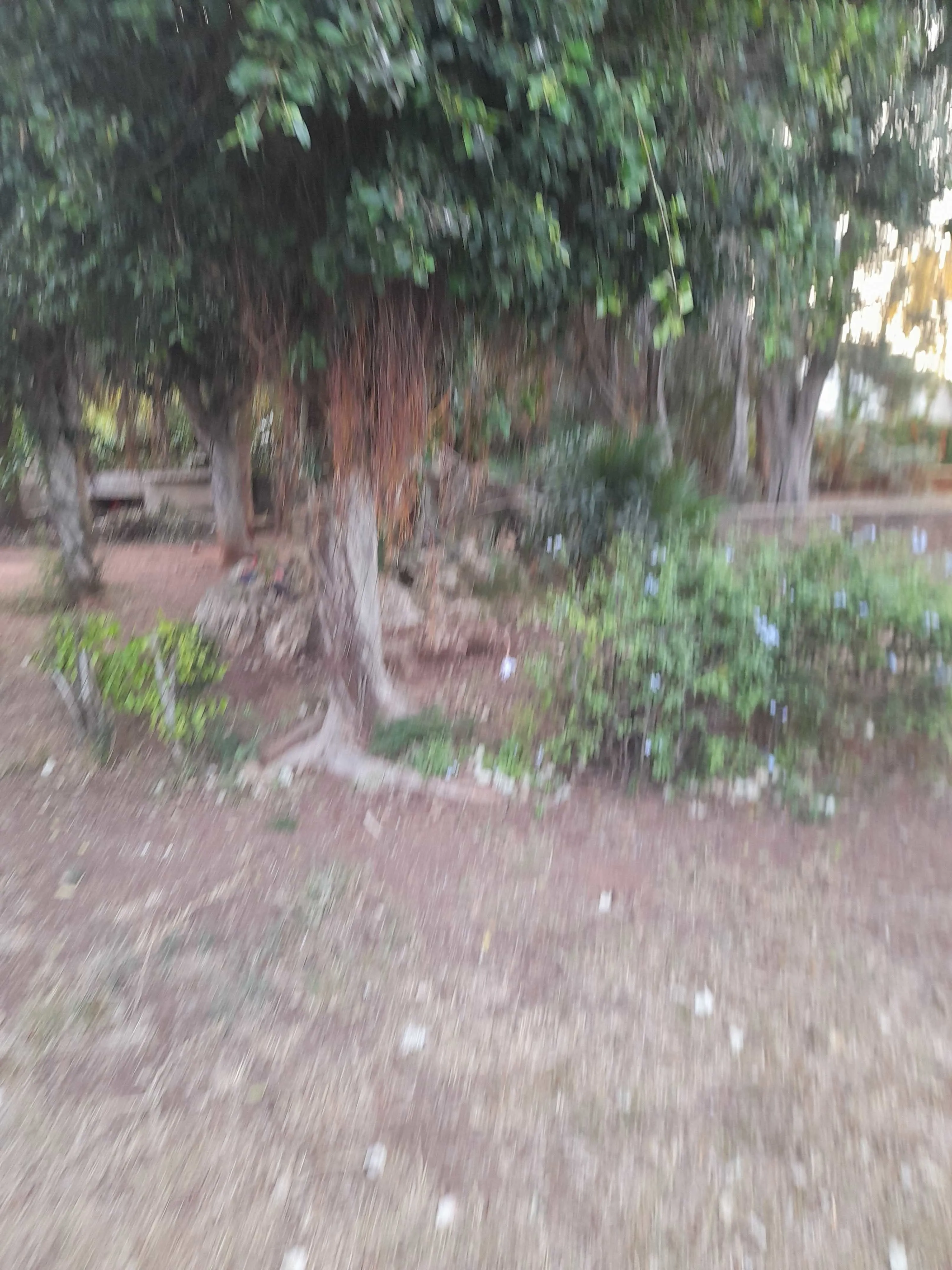 TERRAIN AVENDRE R+4 LA FERME BROTEGNE - الدار البيضاء